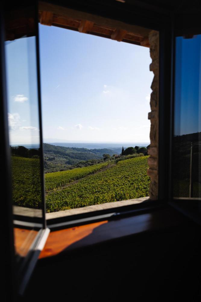Villa Privata Con Piscina A Riparbella Castellina Marittima Buitenkant foto